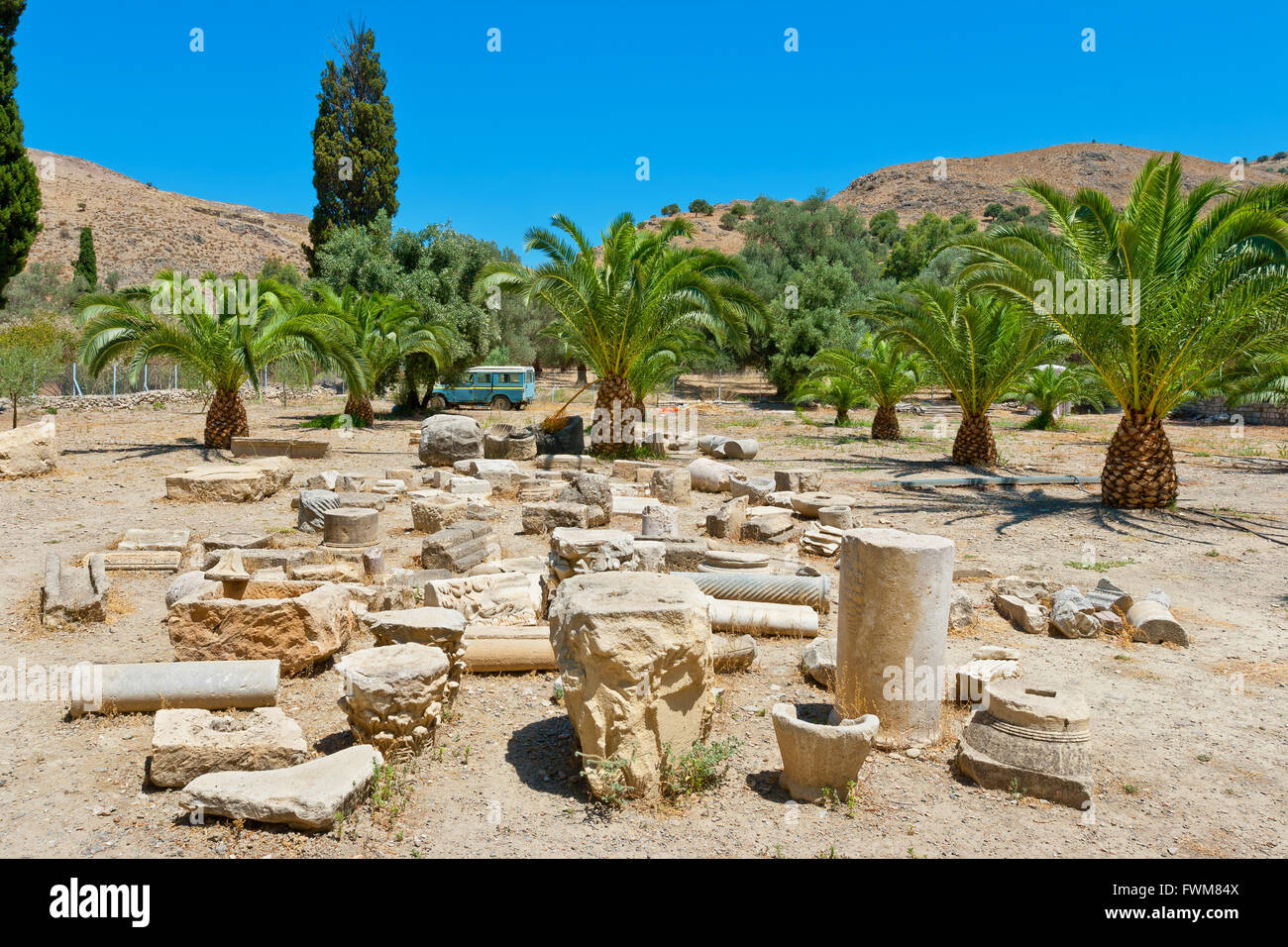 Pilastri e colonne a Palm grove area in ' Gortina. Creta, Grecia Foto Stock