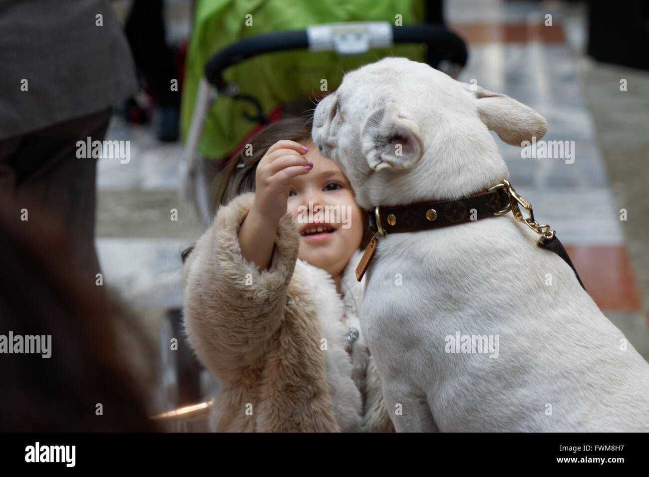 Una bambina come accarezzare un cane nel giardino d'inverno, Battery Park City, la città di New York. Foto Stock