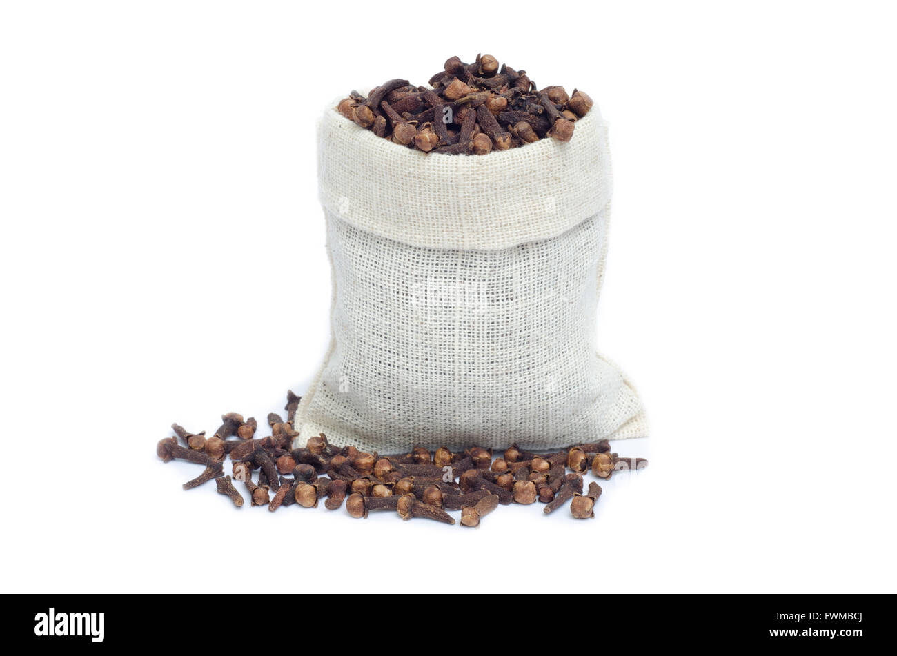 I chiodi di garofano isolare su sfondo bianco Foto Stock