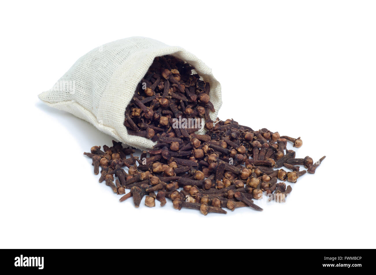 I chiodi di garofano isolare su sfondo bianco Foto Stock