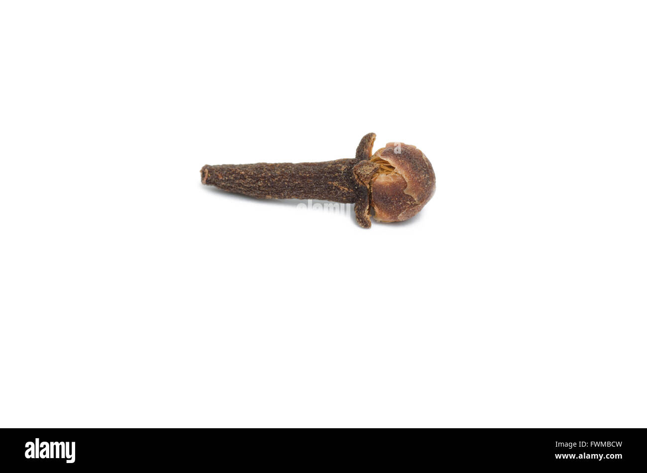 I chiodi di garofano isolare su sfondo bianco Foto Stock