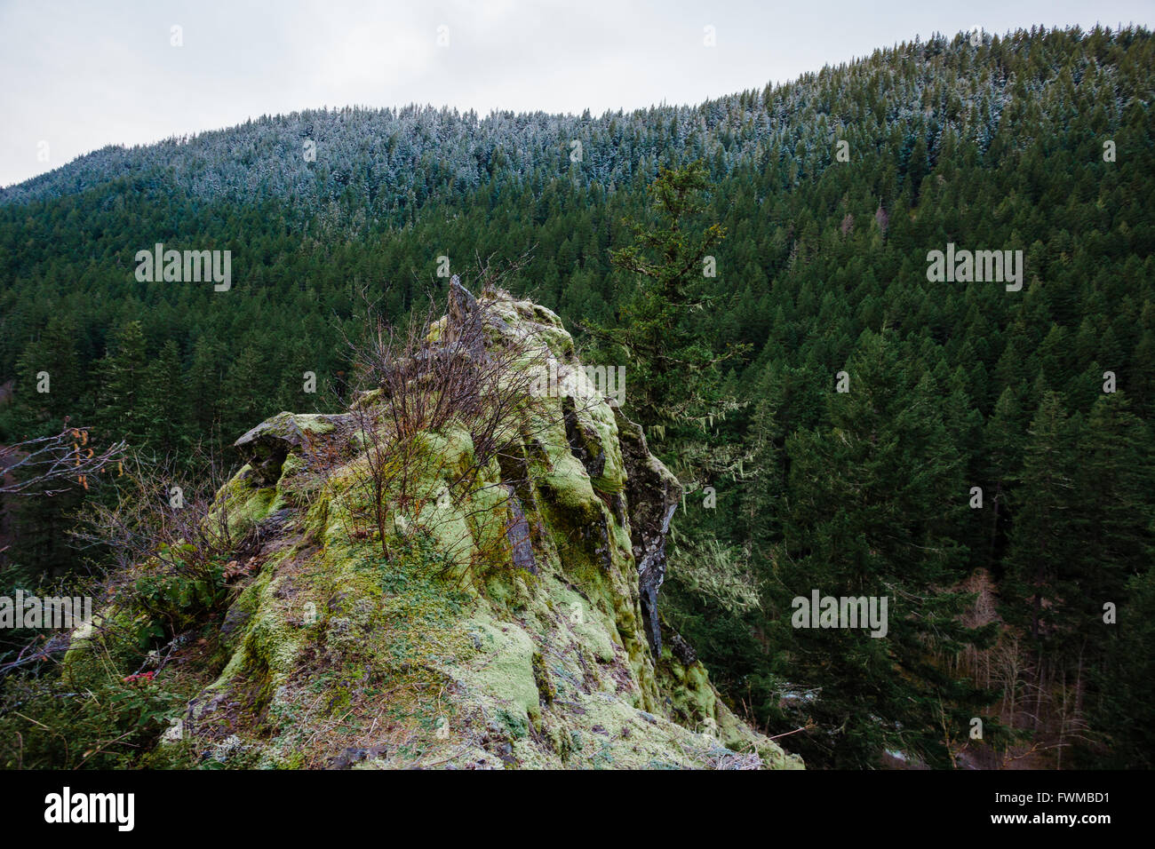 Grande roccia che affiora in superficie che si affaccia su un 200 foot drop nel mezzo della Willamette National Forest in Oregon. Foto Stock