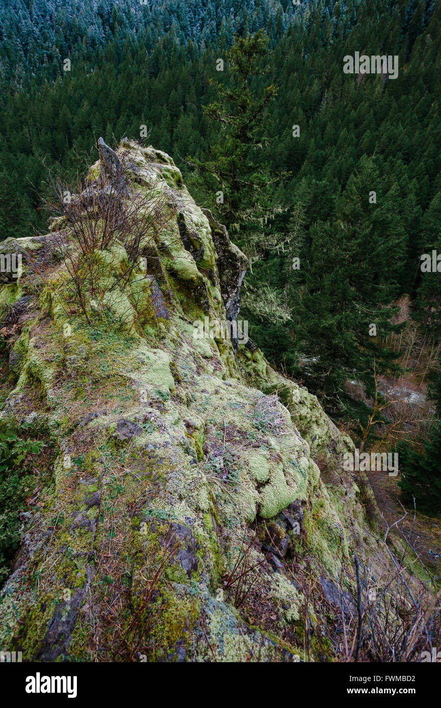 Grande roccia che affiora in superficie che si affaccia su un 200 foot drop nel mezzo della Willamette National Forest in Oregon. Foto Stock