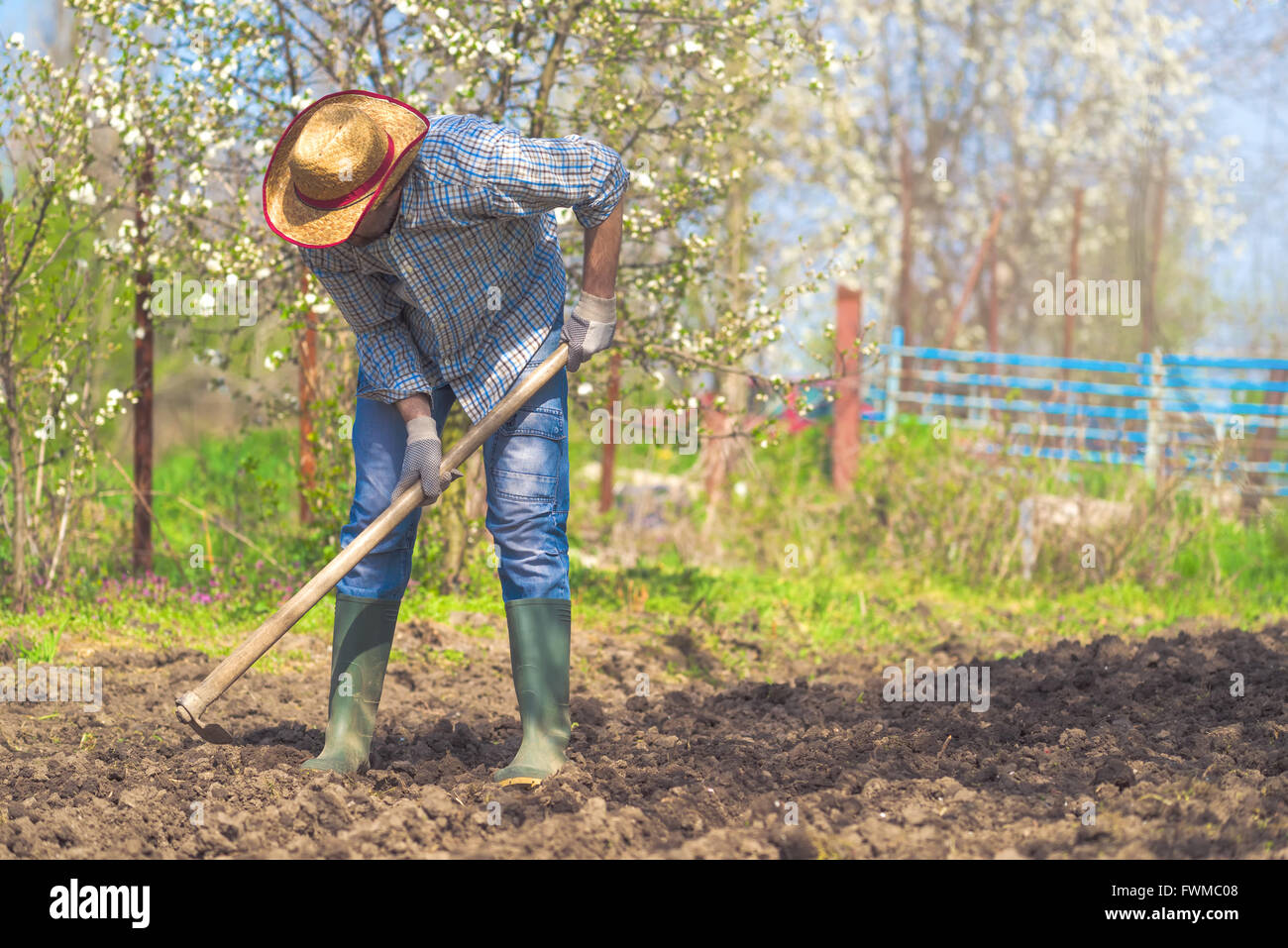 L'uomo zappando orto terreno, nuova stagione di crescita in azienda agricola biologica. Foto Stock