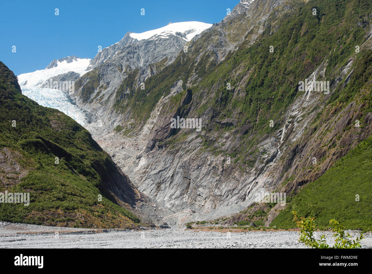 Ghiacciaio Franz Josef in Westland National Park, Nuova Zelanda Foto Stock