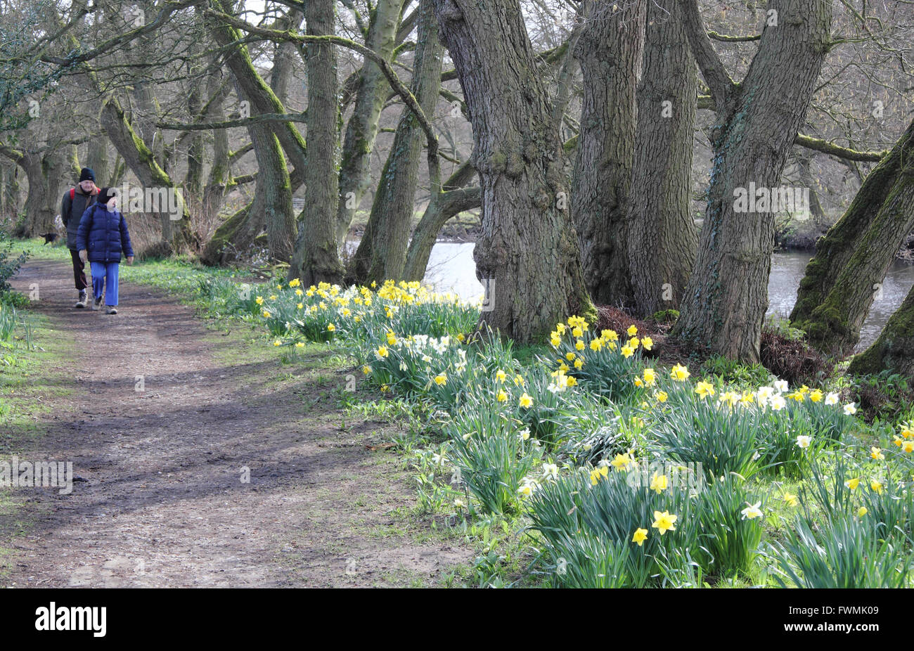 Un uomo e una donna sul sentiero lungo il Fiume Derwent al villaggio Froggatt, Peak District, Derbyshire in primavera, in Inghilterra, Regno Unito Foto Stock