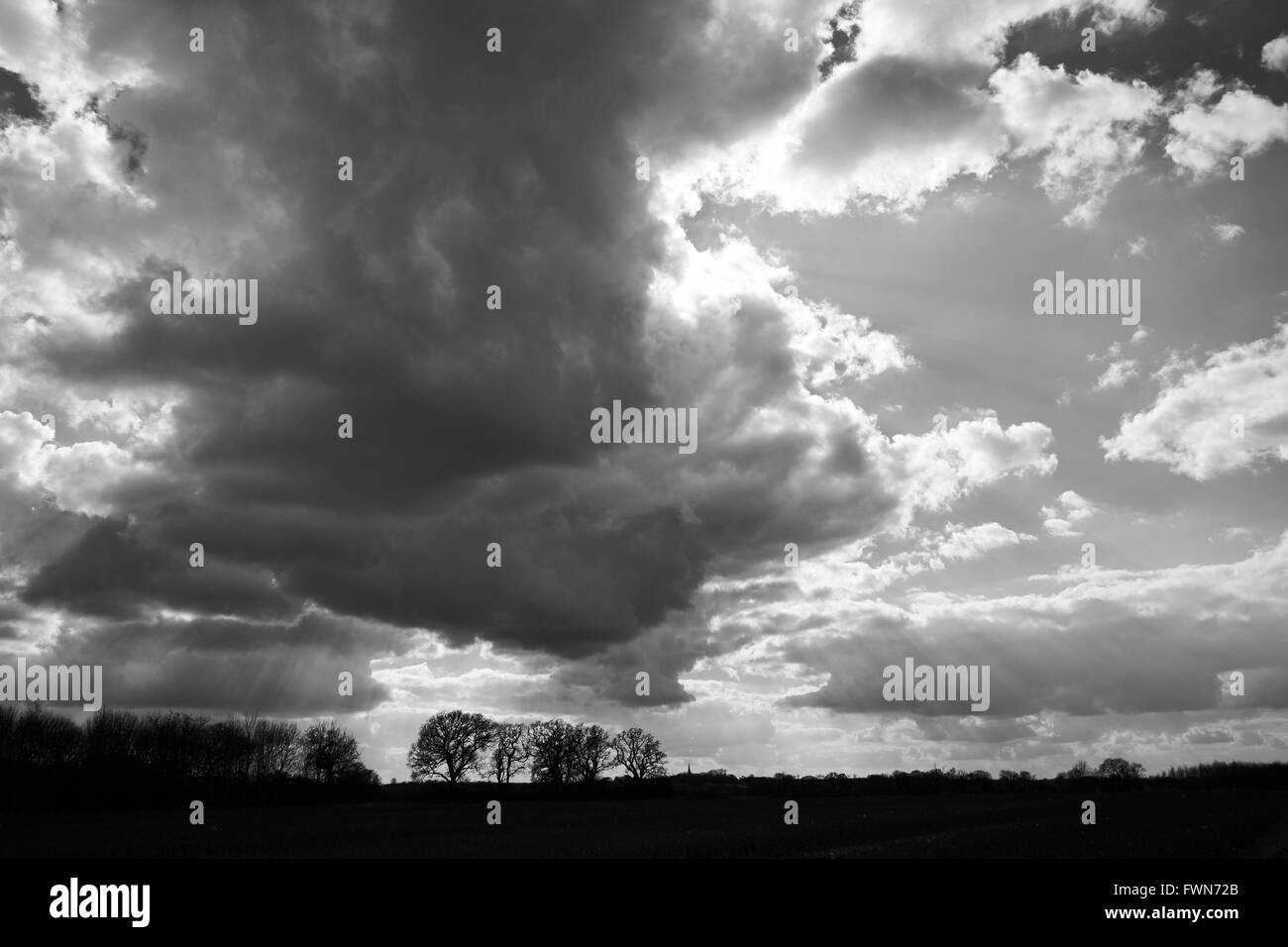 Cumulonimbus nuvole formando contro un luminoso cielo blu su terreni agricoli. Bedfordshire, Regno Unito. Foto Stock