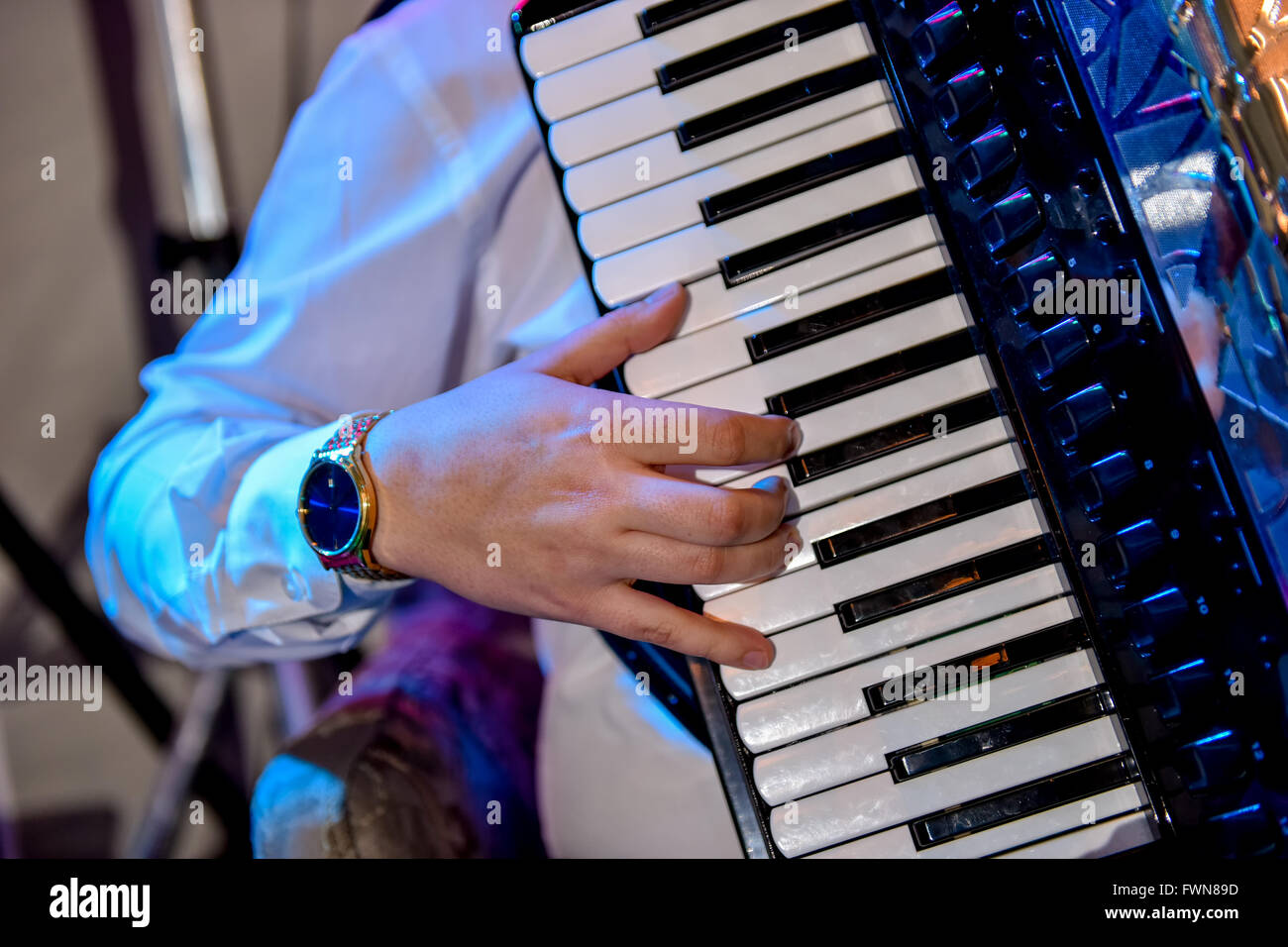 Suona la fisarmonica immagini e fotografie stock ad alta risoluzione