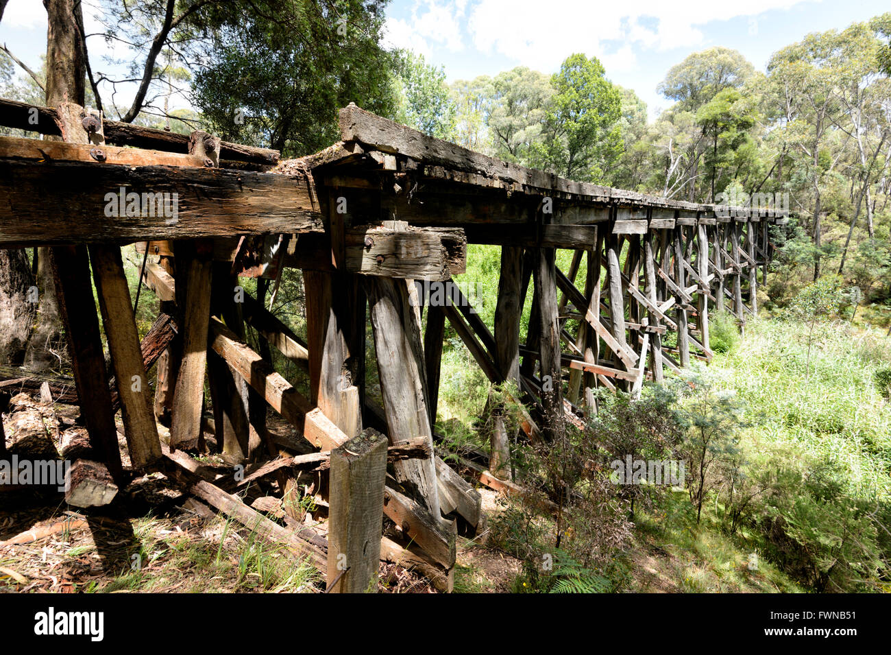 'Boggy Creek Ponte a traliccio, Koetong, Tallangatta, Victoria, Australia Foto Stock