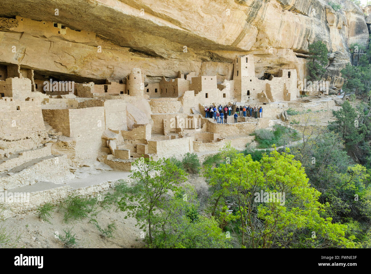 Turisti visitano il Cliff Palace Mesa Verde National Park, COLORADO, Stati Uniti d'America Foto Stock