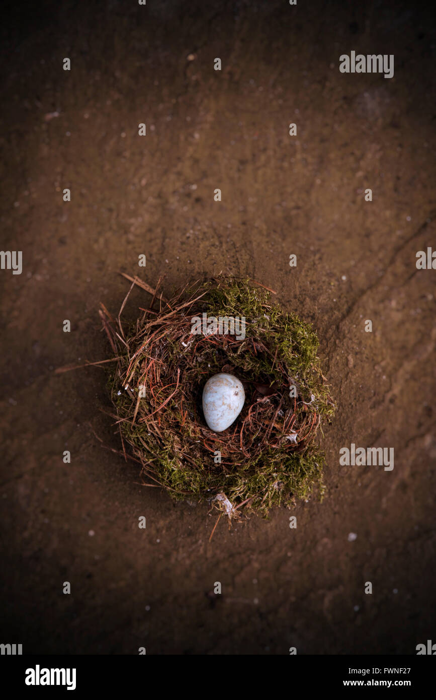 Chiazzato blu a forma di uovo in pietra Bird's Nest sul lastricato Foto Stock