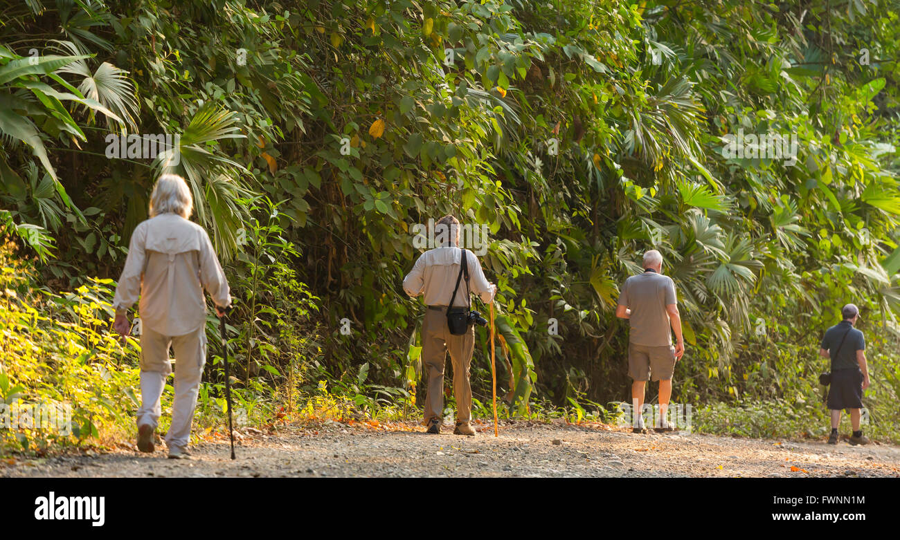 Penisola di OSA, COSTA RICA - Eco-turisti a piedi per vedere la fauna selvatica nella foresta di pioggia. Foto Stock
