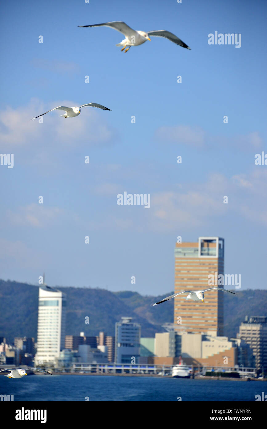 Kagawa, Giappone. 20 Mar, 2016. Gabbiani sorvolano Takamatsu l'edificio più alto di Torre di simbolo a Takamatsu città nella Prefettura di Kagawa domenica 20 marzo, 2016. Takamatsu è il gateway di isole Seto mare mediterraneo, dove Setouchi Triennale art exhibition si terrà nel 2016 fino a novembre. © Yoshio Tsunoda/AFLO/Alamy Live News Foto Stock