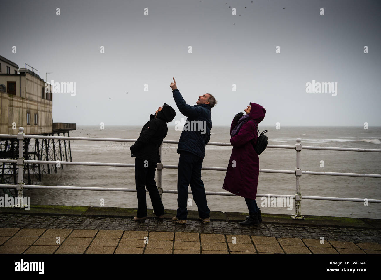 Tre persone a Aberystwyth promenade di puntamento e guardando i branchi di storni formando murmurations nel cielo sopra il molo prima sono ' appollaiati per la notte Foto Stock