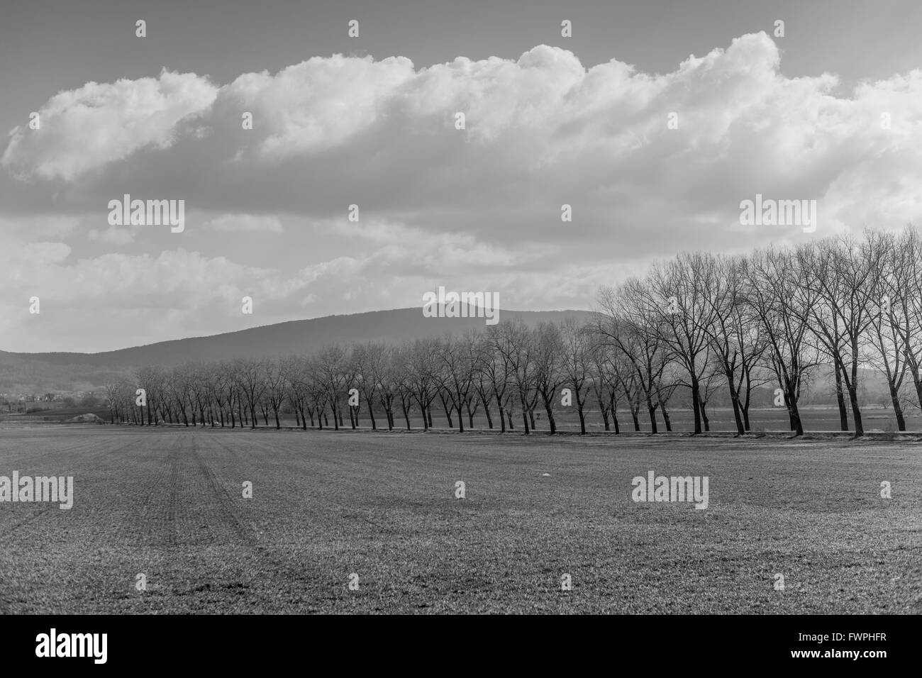 Montare Sleza con molla di sole cielo e il verde dei campi Bassa Slesia Zobtenberg Nieder Schlesien Foto Stock