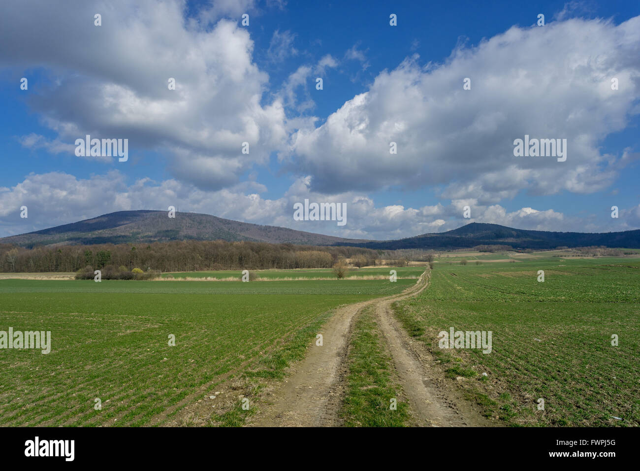 Montare Sleza e Radunia montaggio con molla soleggiata sky,campi verdi e sterrata Bassa Slesia Nieder Schlesien Foto Stock
