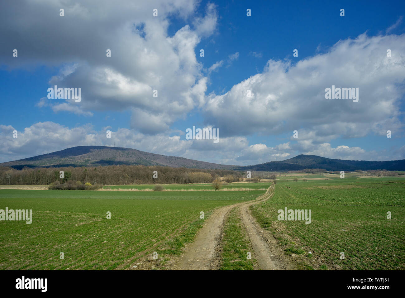 Montare Sleza e Radunia montaggio con molla soleggiata sky,campi verdi e sterrata Bassa Slesia Nieder Schlesien Foto Stock