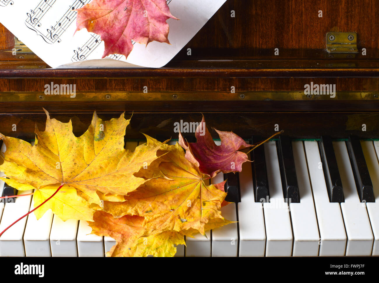 Verde, giallo, rosso lascia giacere su tasti di pianoforte Foto Stock