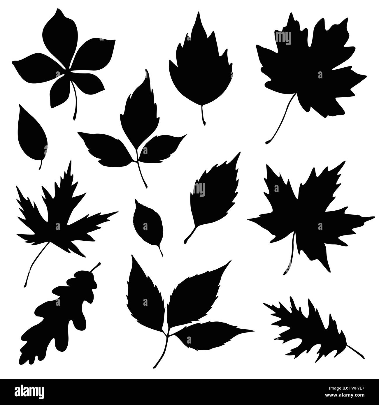 Foglie di autunno silhouette impostato Foto Stock