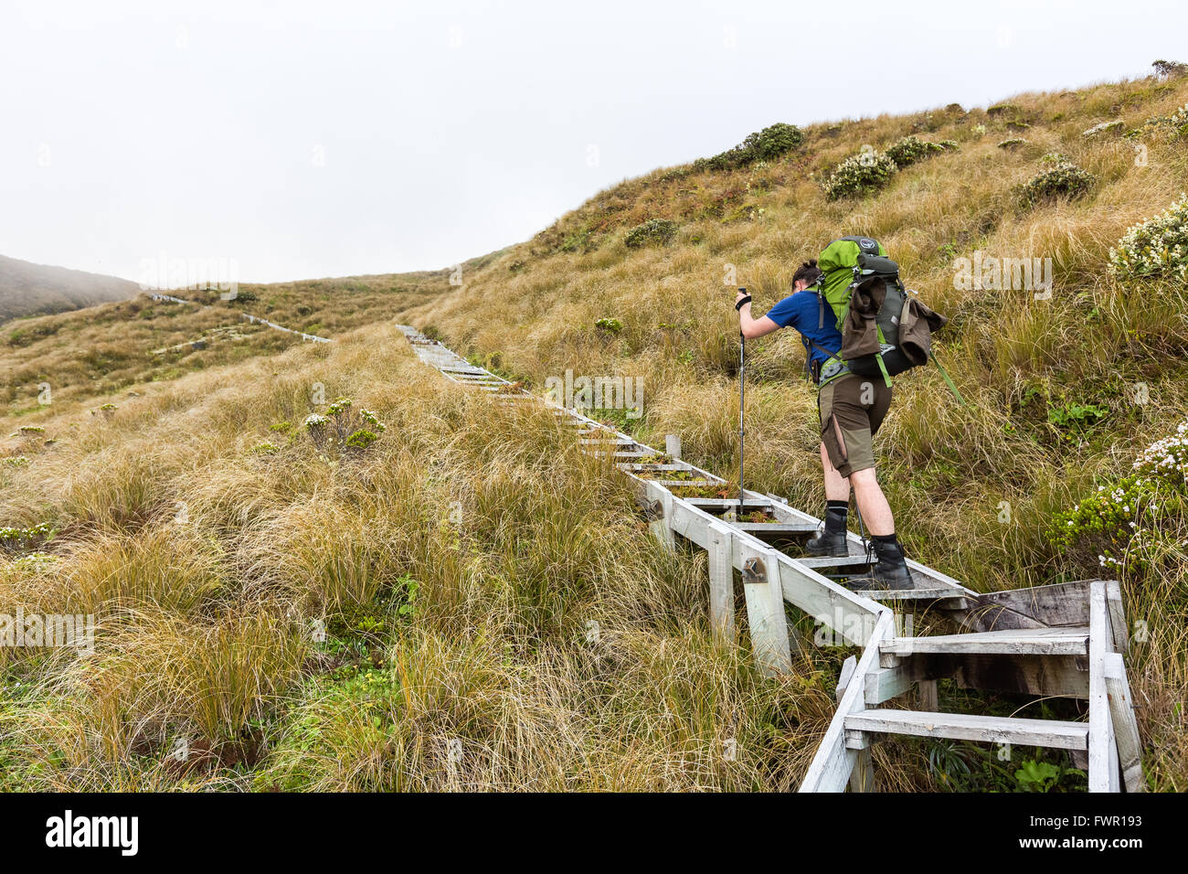 Escursioni a piedi verso Fathams picco, Mt Taranaki vulcano, Isola del nord, Nuova Zelanda Foto Stock