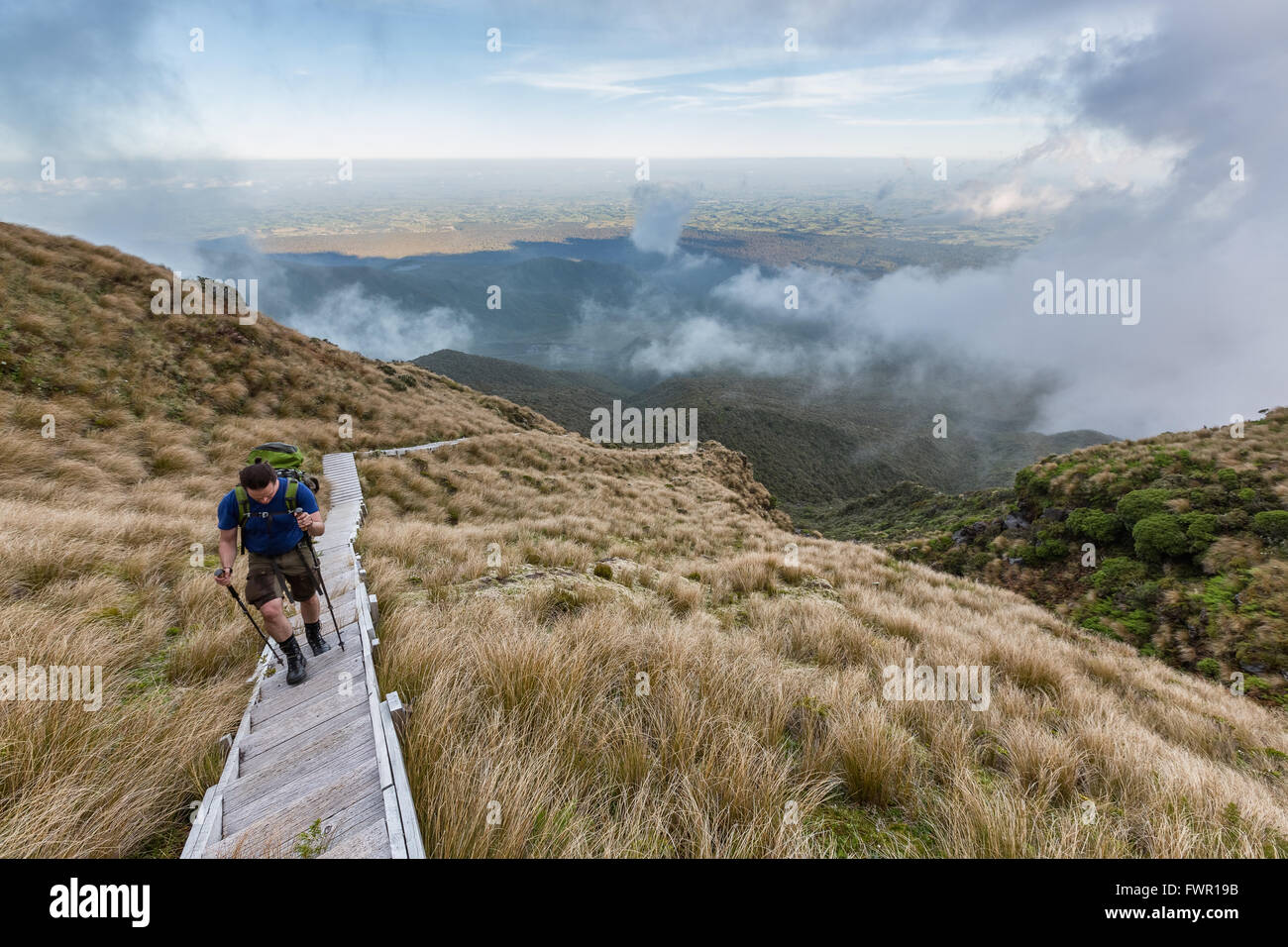 Escursioni a piedi verso Fathams picco, Mt Taranaki vulcano, Isola del nord, Nuova Zelanda Foto Stock