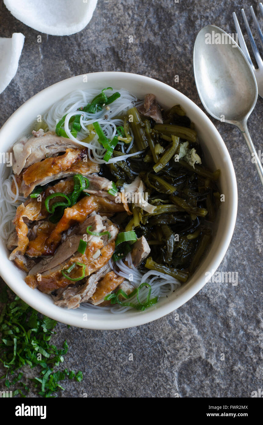 Shredded anatra arrosto con tagliatelle Foto Stock