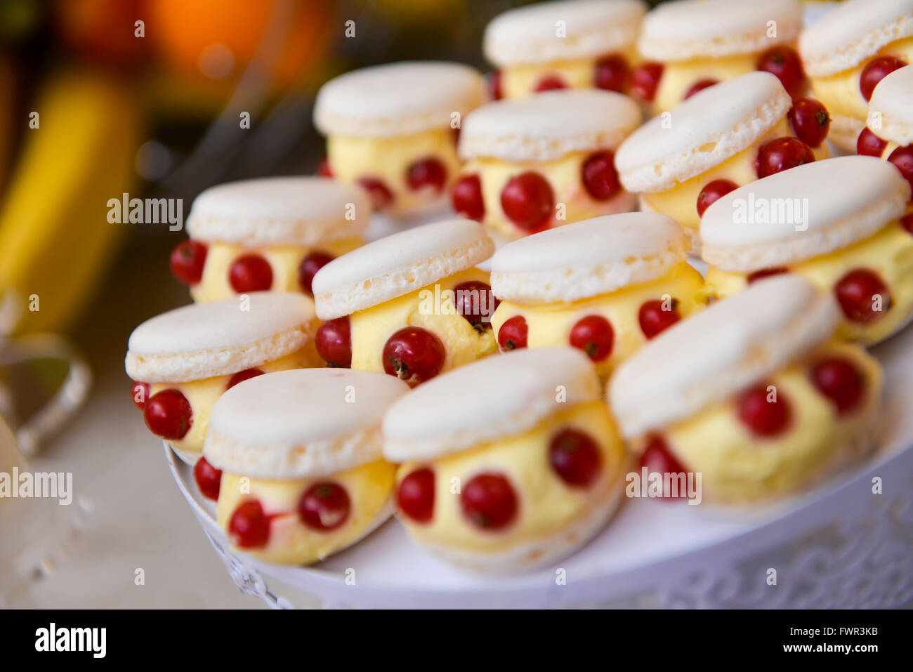 Tortini di vaniglia con mirtillo palustre nella luce naturale Foto Stock