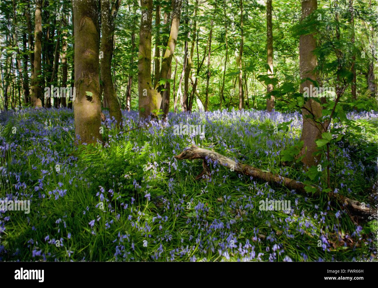 Stile della pittura immagine di bluebell wood nella primavera,con log, alberi,e raggi di luce Foto Stock