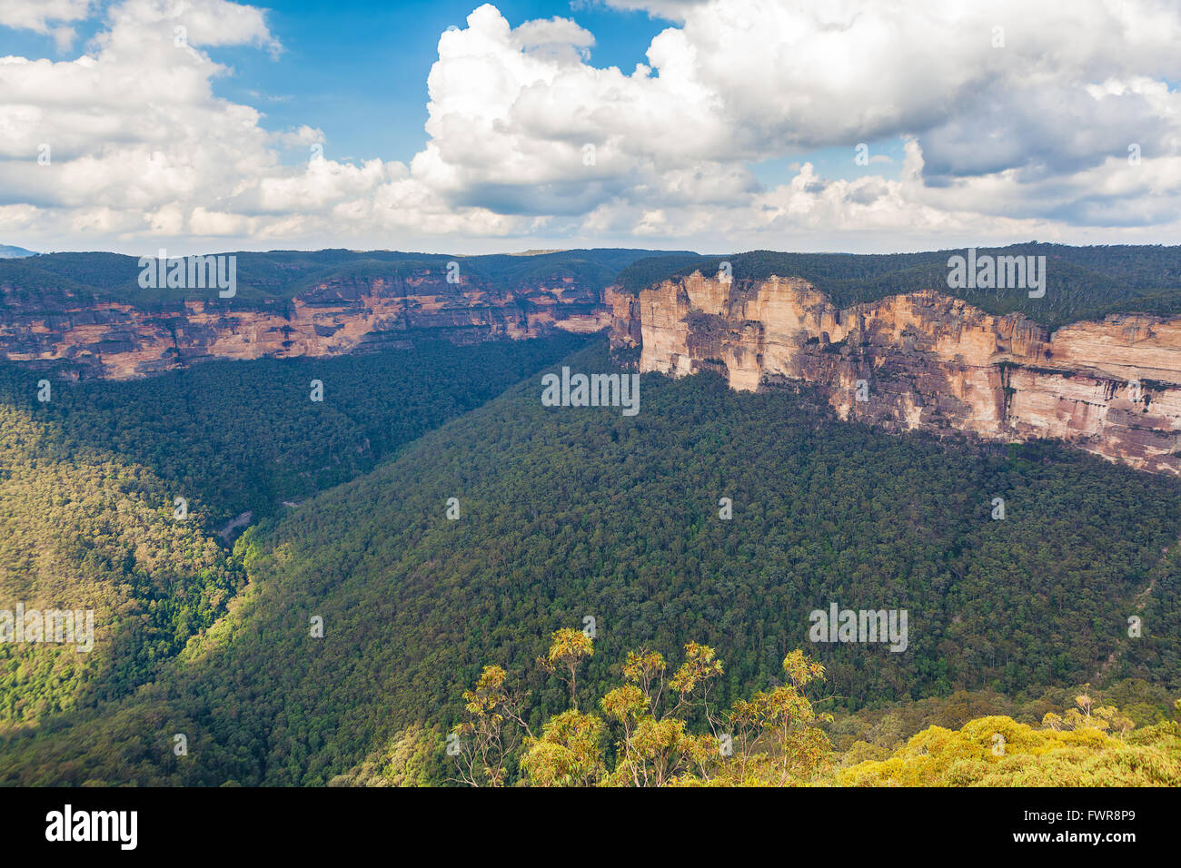 Blue Mountains affioramenti rocciosi visto da Evans Lookout. Katoomba, Nuovo Galles del Sud, Australia. Foto Stock