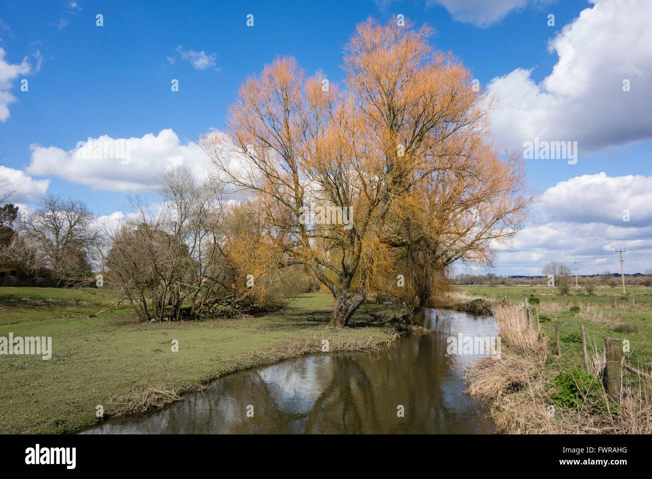 Una vista panoramica del Fiume Avon affluente al Harbridge, Fordingbridge, Hampshire, Inghilterra, Regno Unito Foto Stock