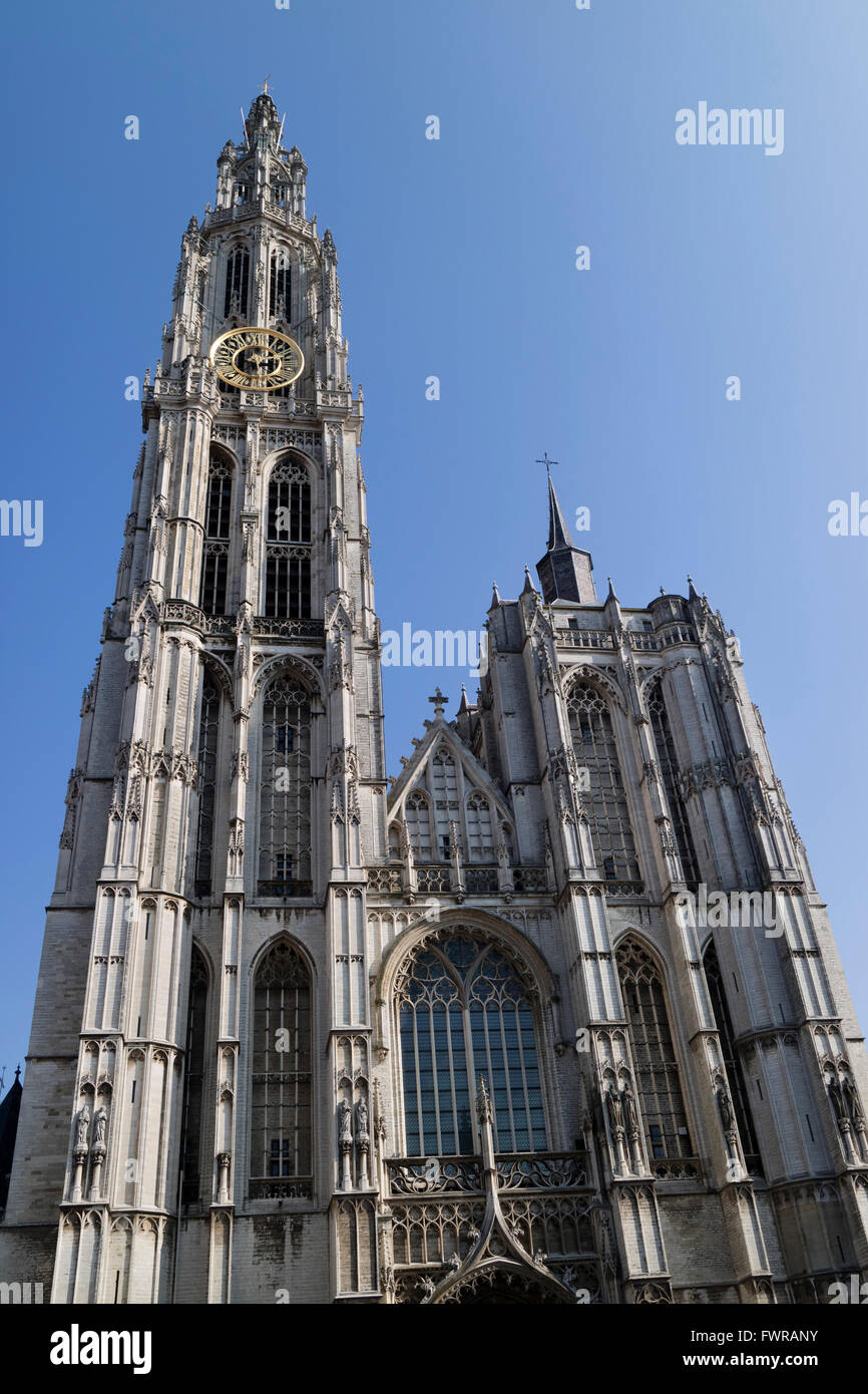 Onze-Lieve-Vrouwekathedraal su Handschoenmarkt ad Anversa, in Belgio Foto Stock