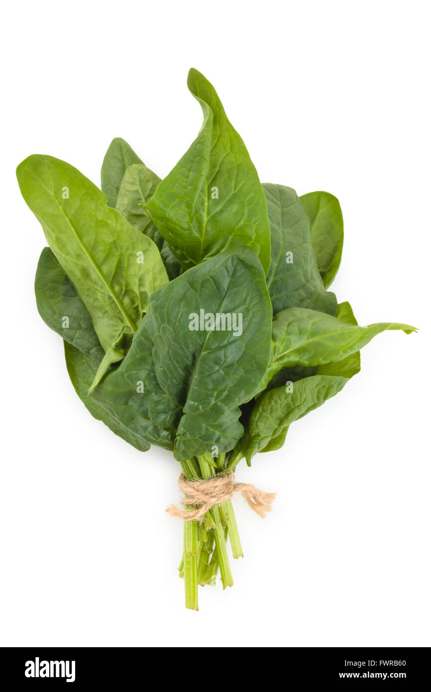 Banco di spinaci freschi foglie. Foto Stock
