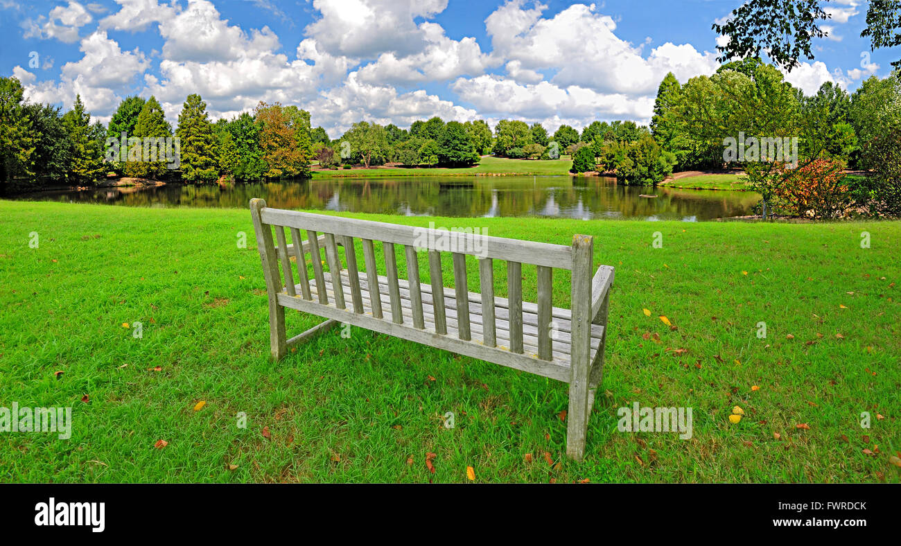 Parkbench da un piccolo stagno in un parco in una bella giornata d'estate con una nuvola blu cielo chiazzata. Foto Stock