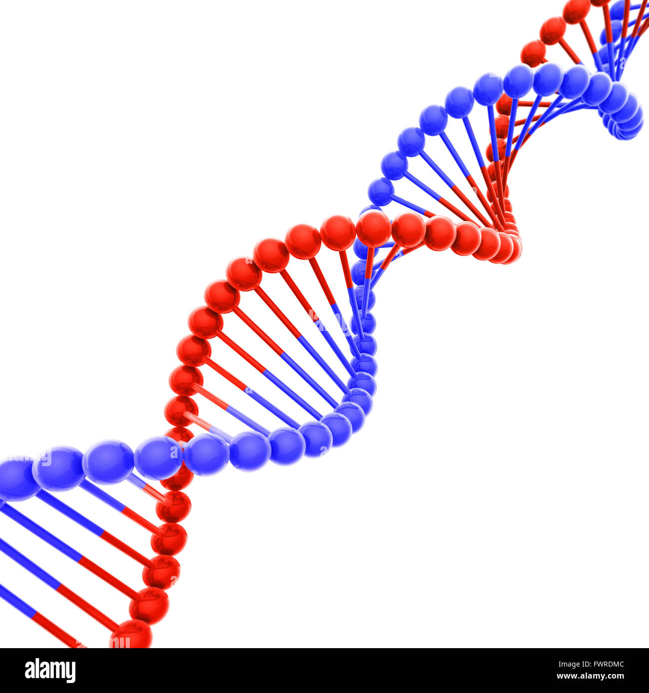 Il rosso e il blu elica di DNA su bianco Foto Stock