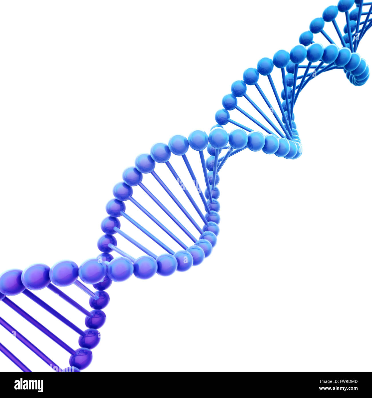 Blu diagonale elica di DNA su bianco Foto Stock