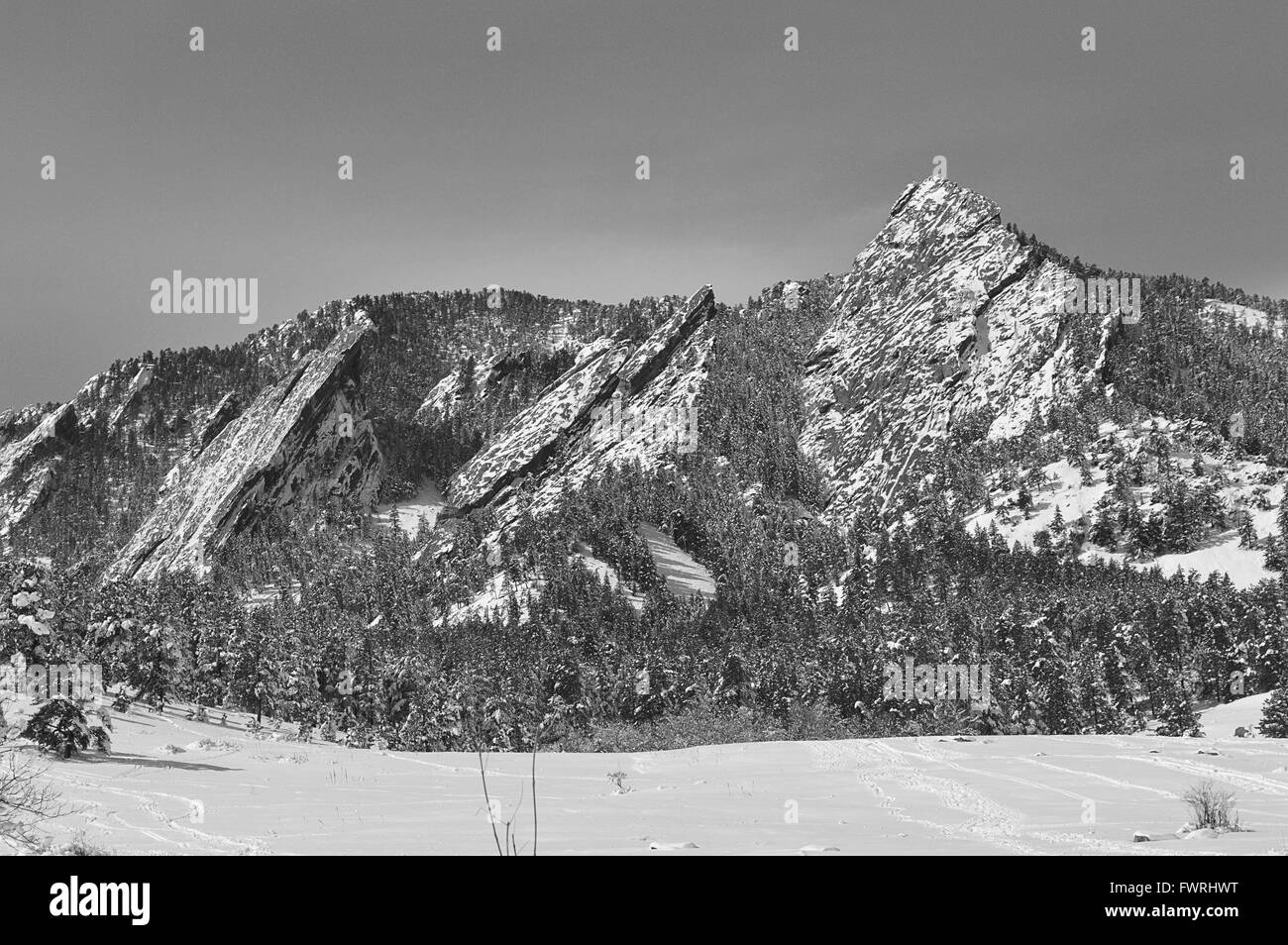 Il Boulder Flatirons coperto di neve di primavera, Chautauqua Park, Boulder, Colorado (bianco e nero). Foto Stock