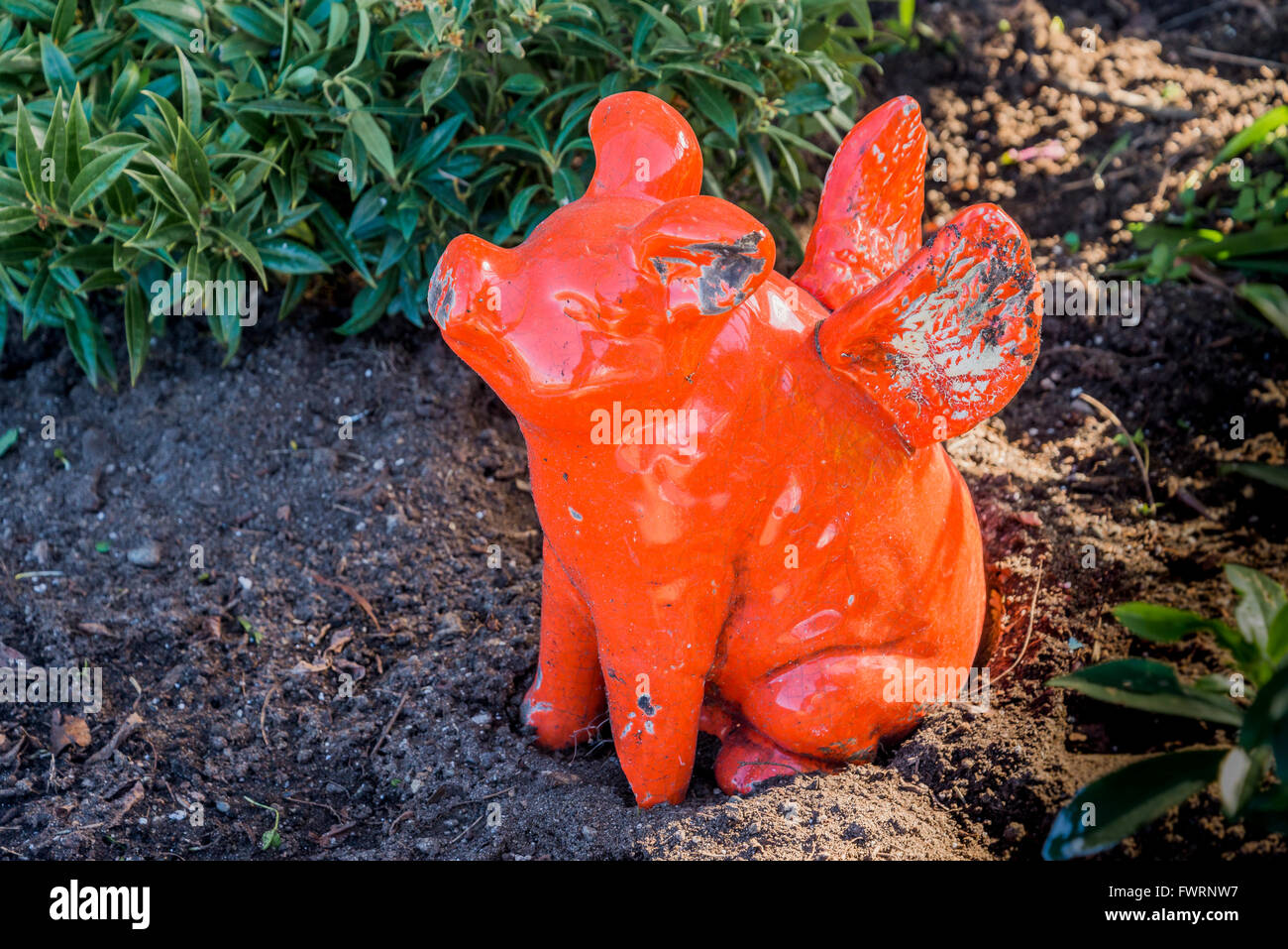 Ceramica rossa flying pig Foto Stock