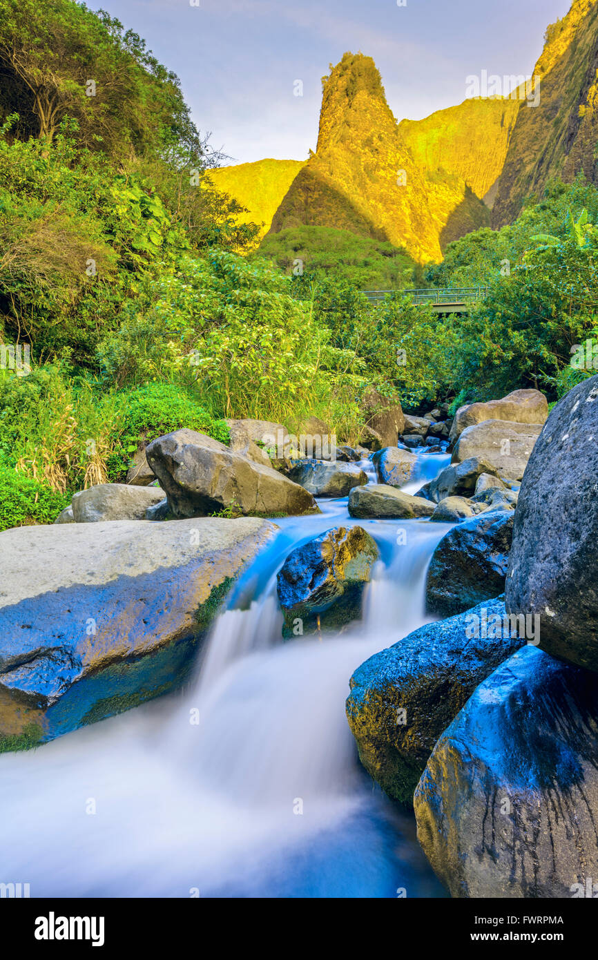 Iao ago in Iao Valley State Park Maui, Hawaii Foto Stock