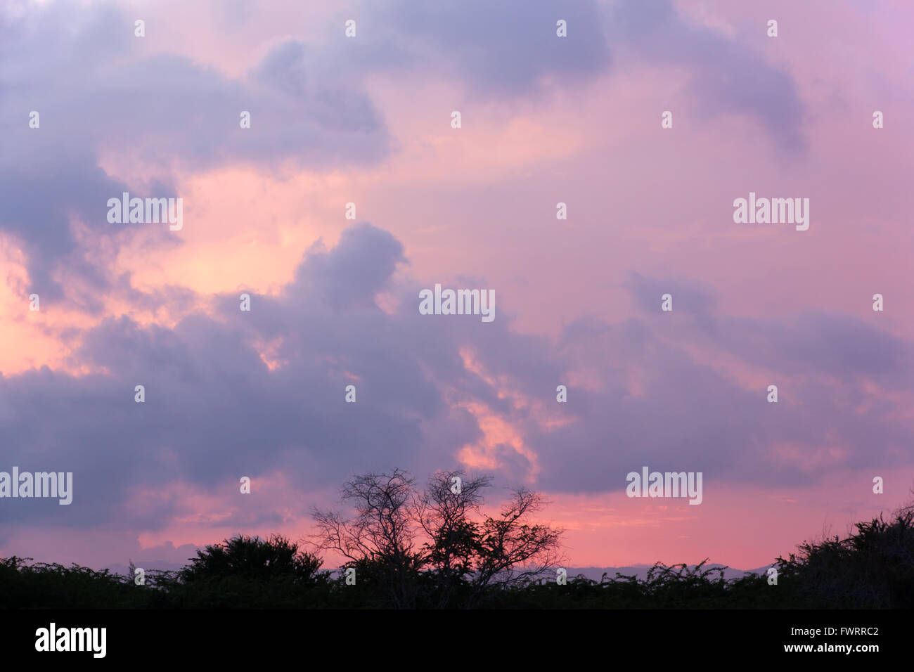 Il cloud in natura durante la stagione delle piogge. E al crepuscolo il riflesso del cielo. silhouette foto. Foto Stock