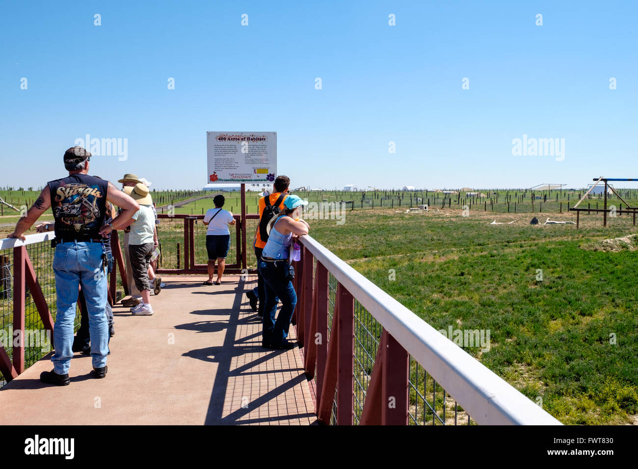 Lo sguardo dei visitatori in vari involucri di origine animale lungo l'area di visualizzazione al Wild Animal Santuario in Colorado Foto Stock