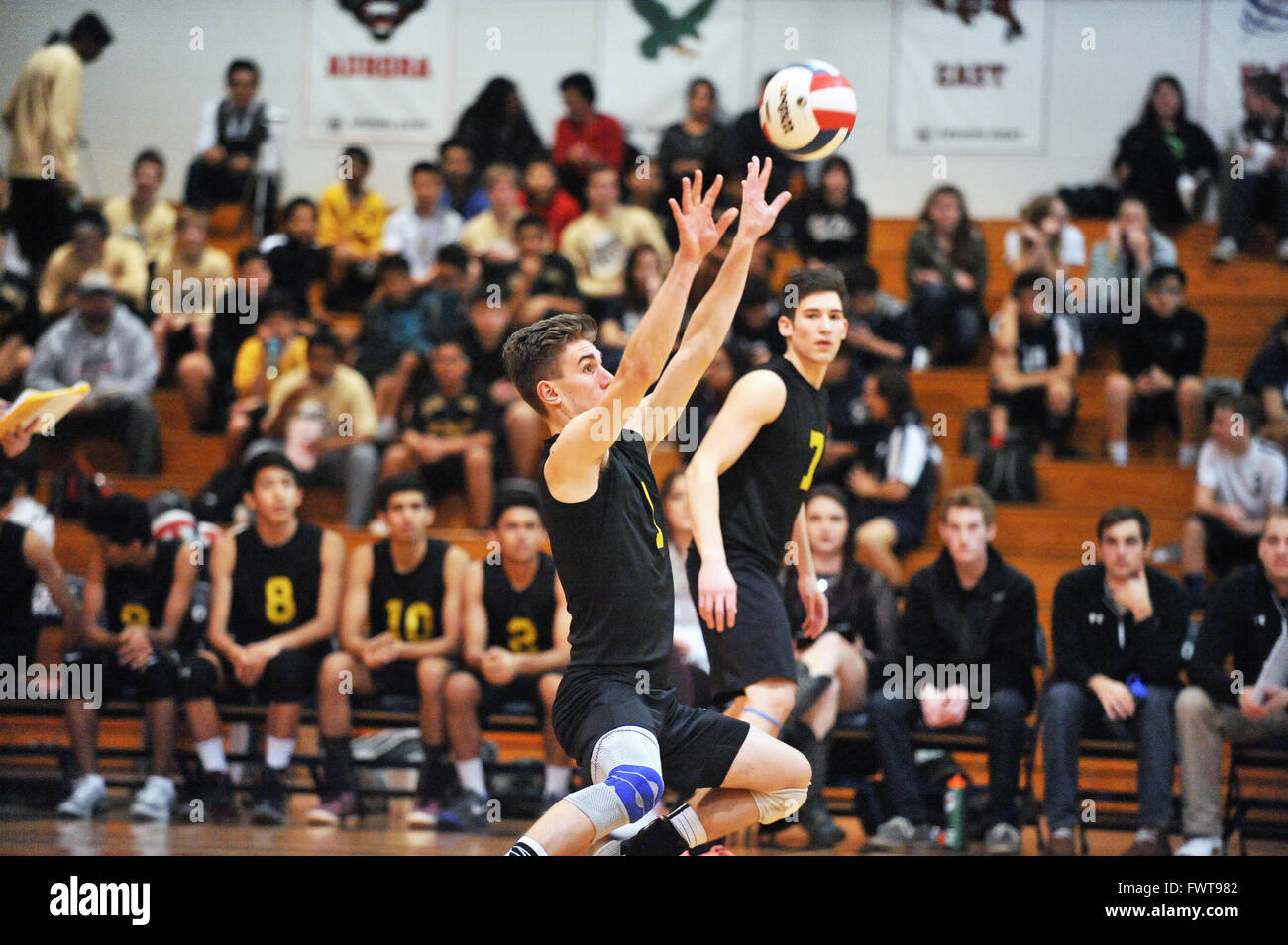 Il giocatore si estende per restituire un avversario di tiro e mantenere un volley vivi durante una scuola di pallavolo match. Stati Uniti d'America. Foto Stock