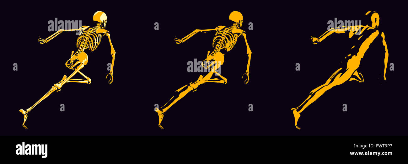 Un osso umano schema della struttura in arancione e nero Foto Stock
