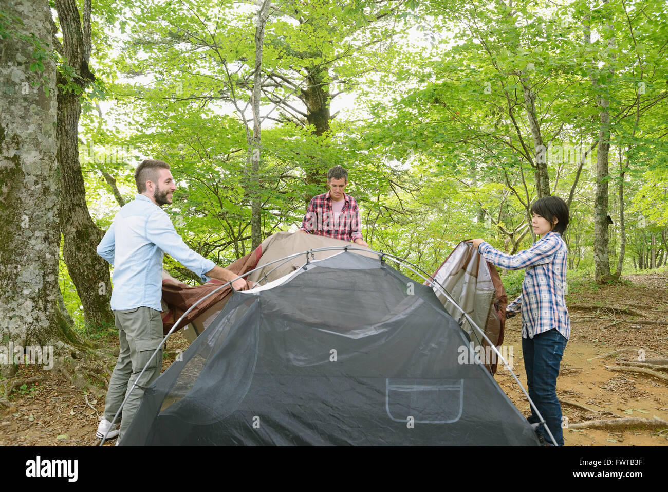 Multi-etnico gruppo di amici mettendo su una tenda in un campeggio Foto Stock
