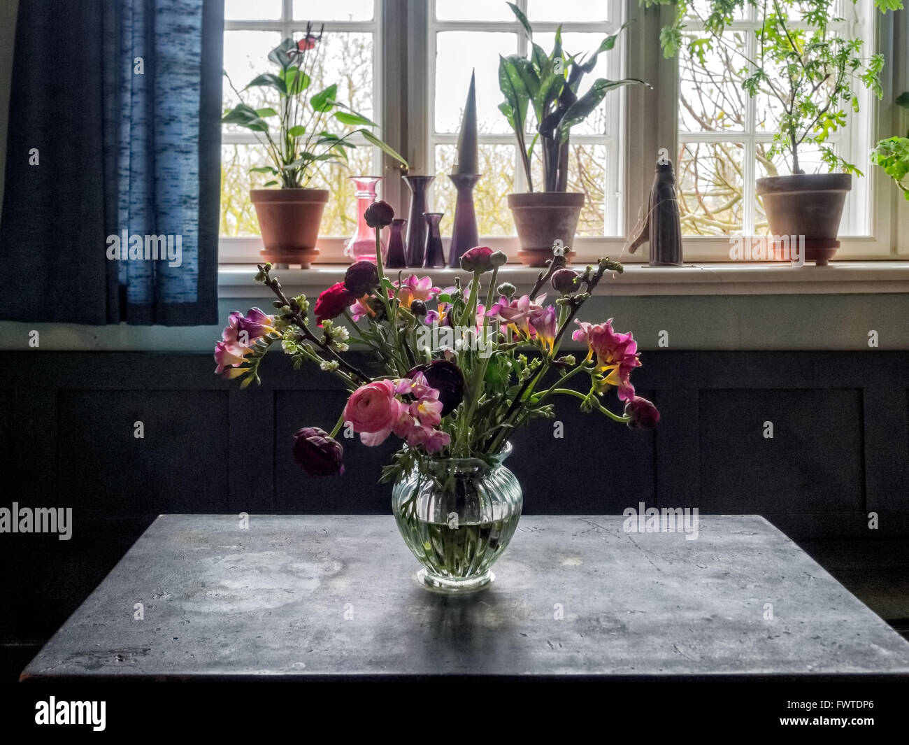 Fioritura di fiori colorati in un vaso Foto Stock