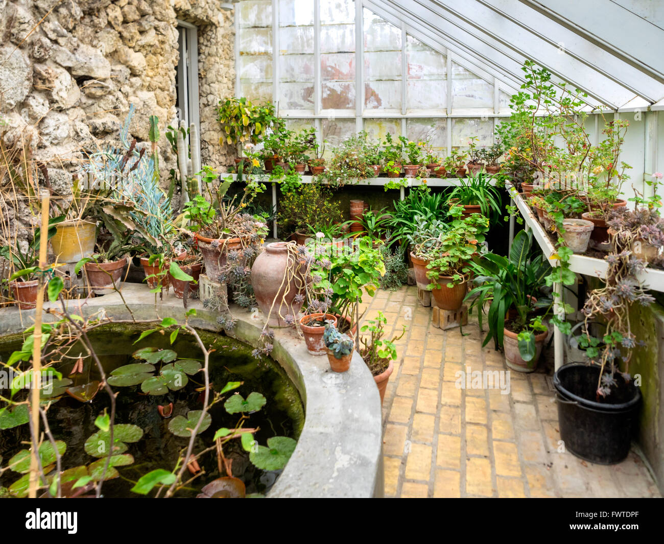 Interno di una vecchia serra vintage Foto Stock