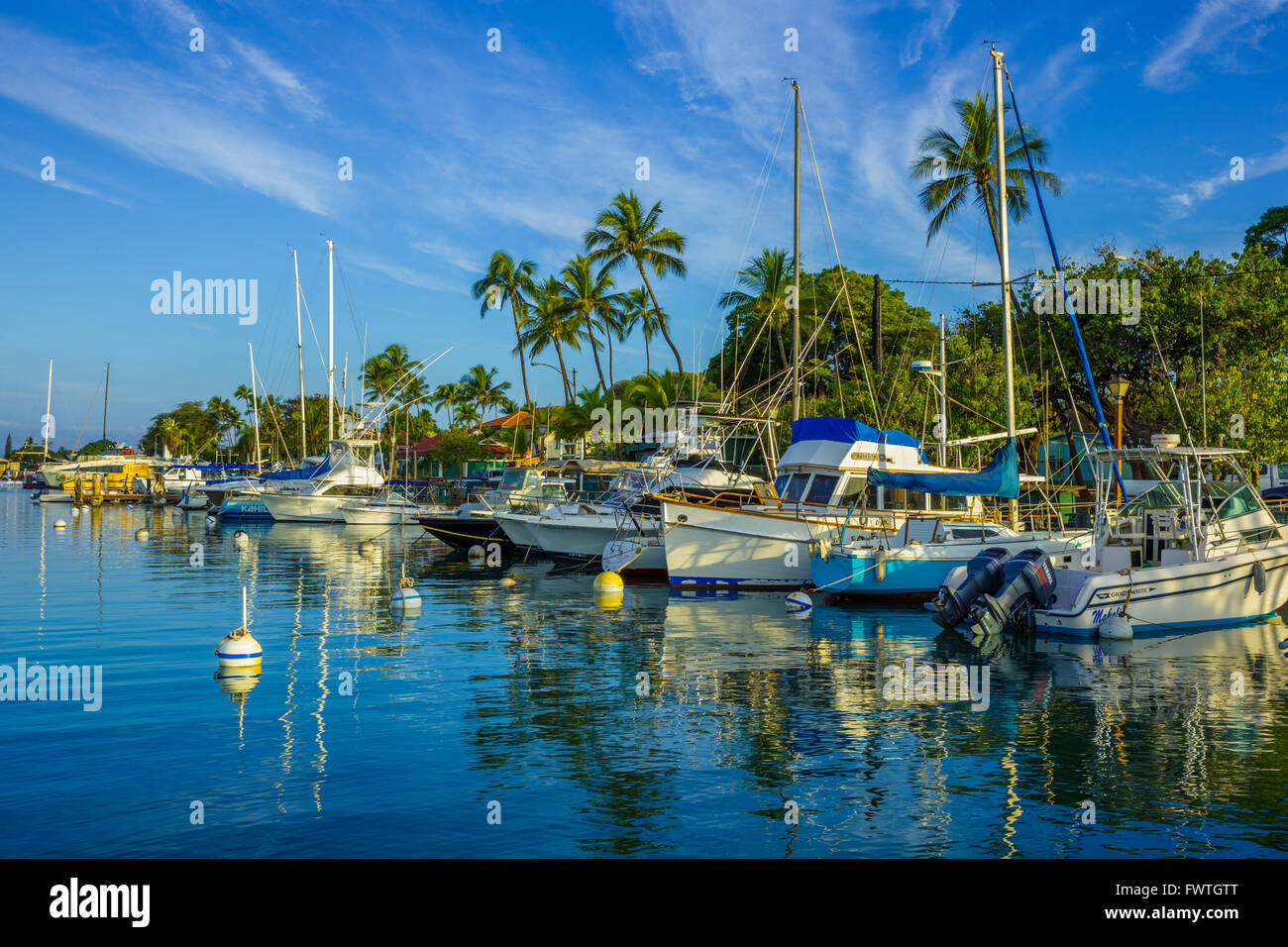 Lahaina Harbor, Maui Foto Stock