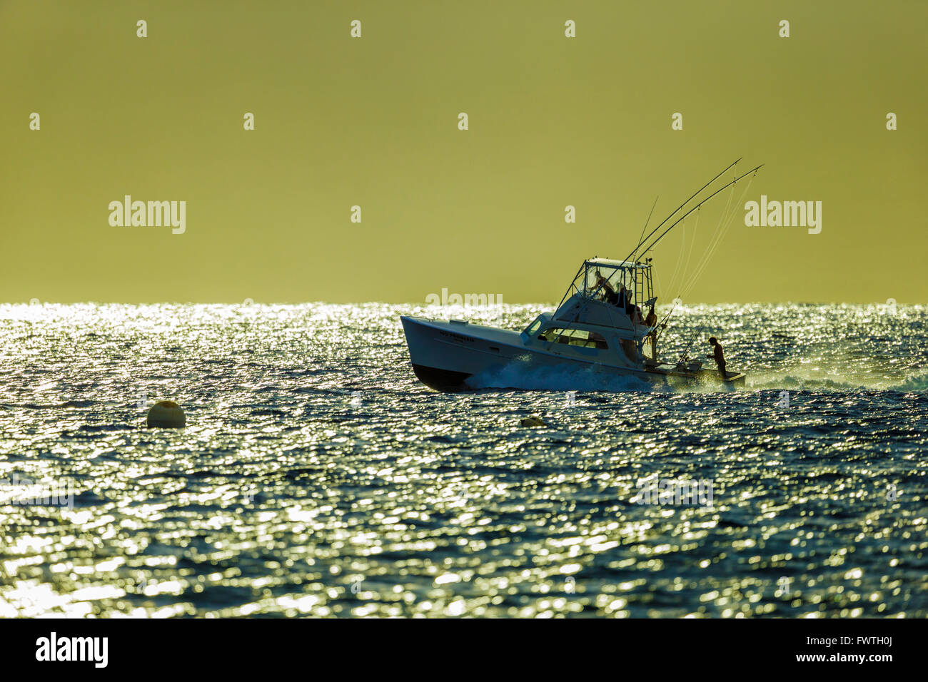 Pesca sportiva, Maui Foto Stock