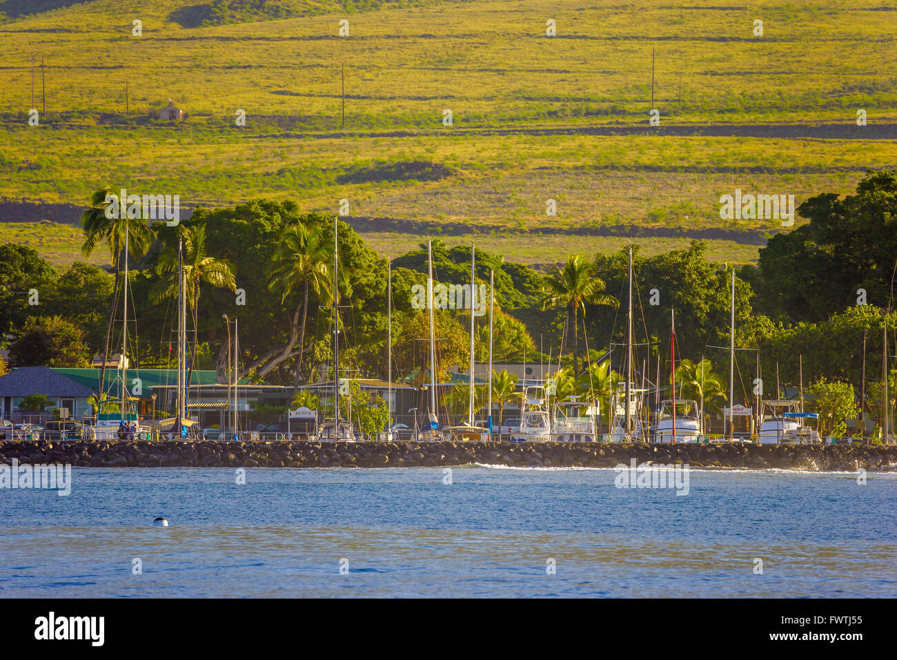 Lahaina Harbor a Maui Foto Stock
