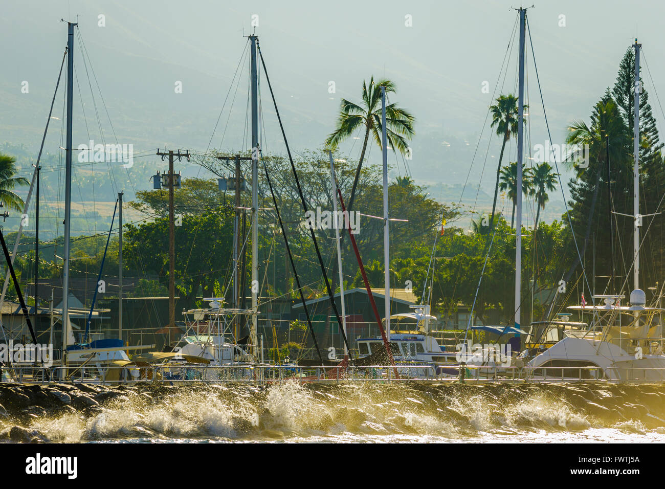 Lahaina Harbor a Maui Foto Stock