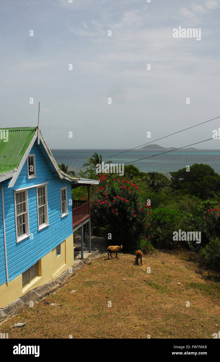 Caraibi, isole Windward, Carriacou Foto Stock